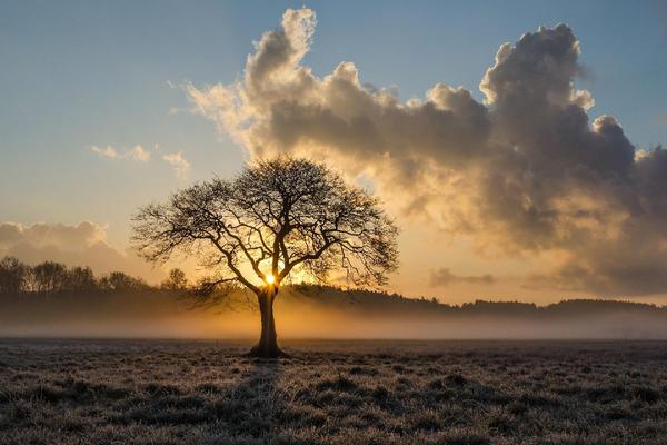 Menopausa precoce: la perdita di desiderio può essere un sintomo di allarme